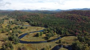 A River Running Serpentine to the landscape next to a forest with fall foliage present on the trees.