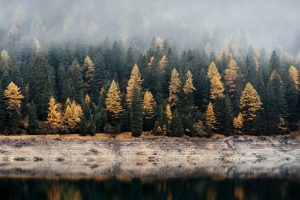 samuel-ferrara-iecJiKe_RNg-unsplash